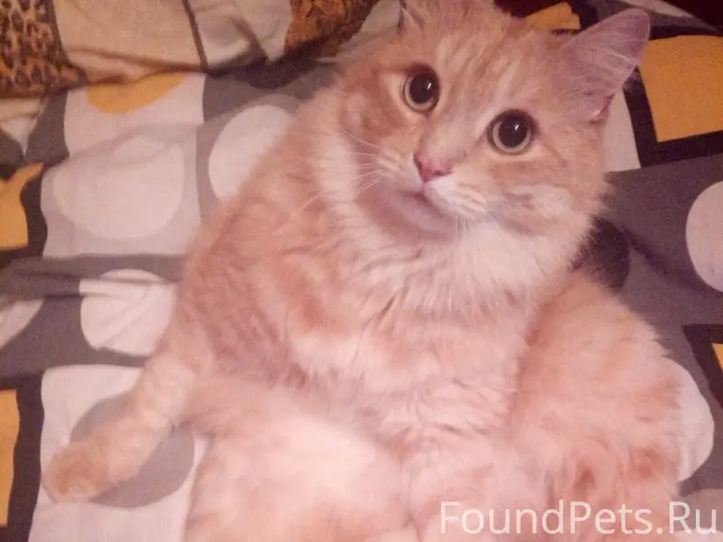 🆘️ПОМОГИТЕ НАЙТИ КОЛЮ! Советск...