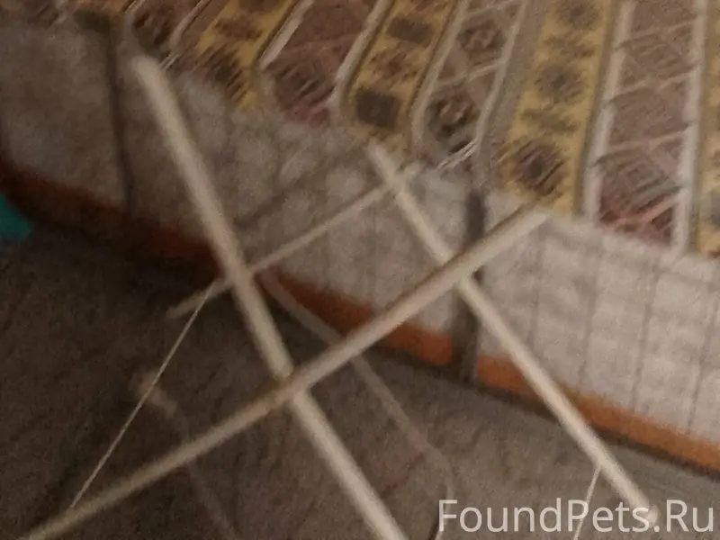 Здравствуйте всем у меня случи...