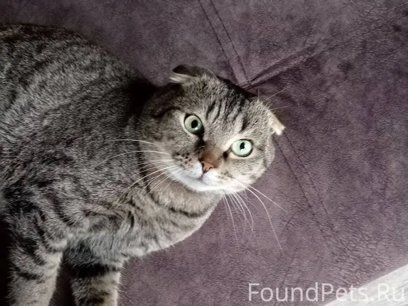 Всех приветствую, люди добрые!...