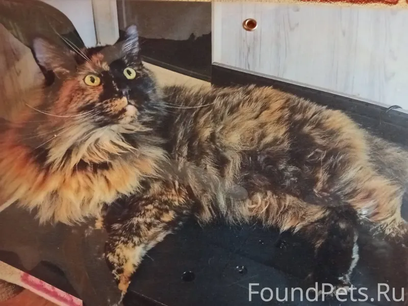 14.12.2025 г . В воскресенье.....