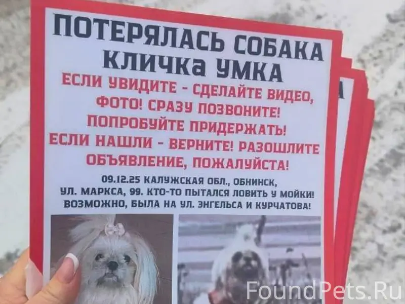 Потерялась собака. Хозяйка мес...