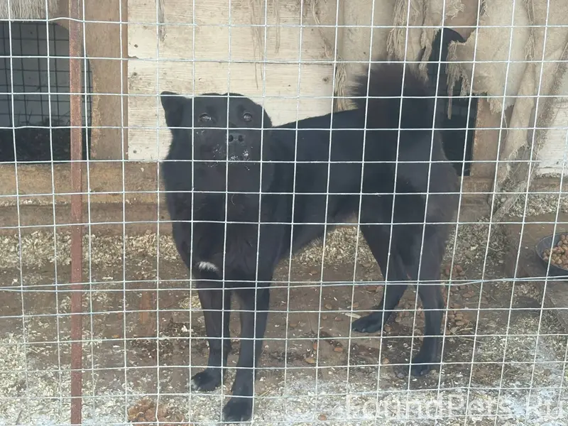 В пятницу вечером, на трассе м...