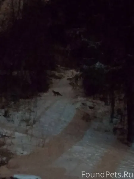 Вечерняя встреча в парке Вакко...