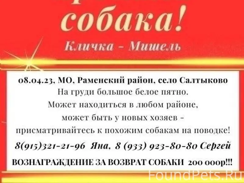 Поиск продолжается! ‼Вознаграж...