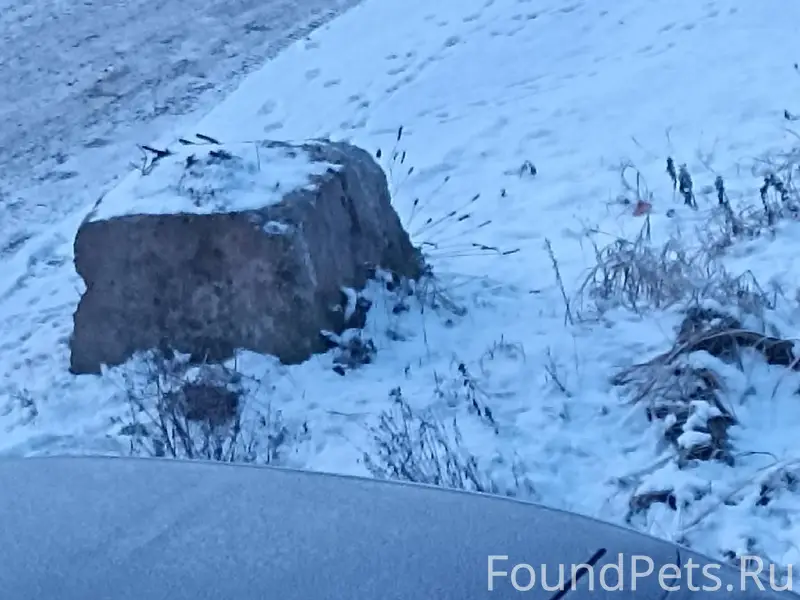 Доброе утро! У станции Воронок...