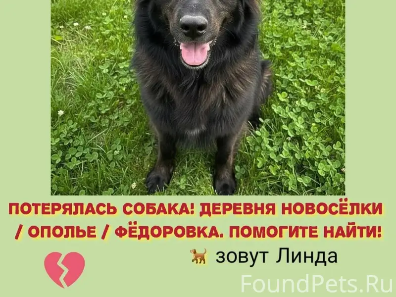 Друзья, срочная помощь! Пропал...