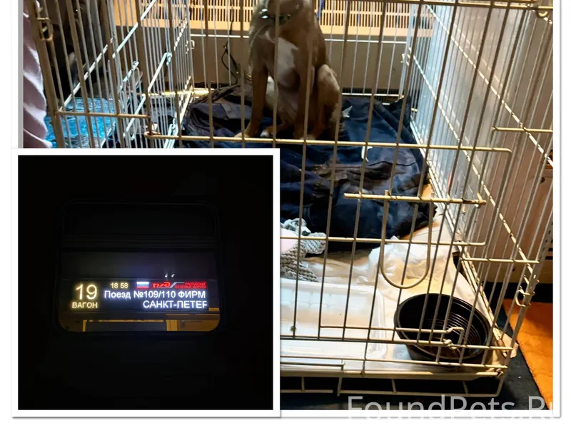 ‼️Новогодние чудеса продолжают...