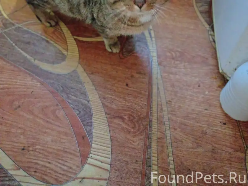 В подъезде дома 4 по ул...