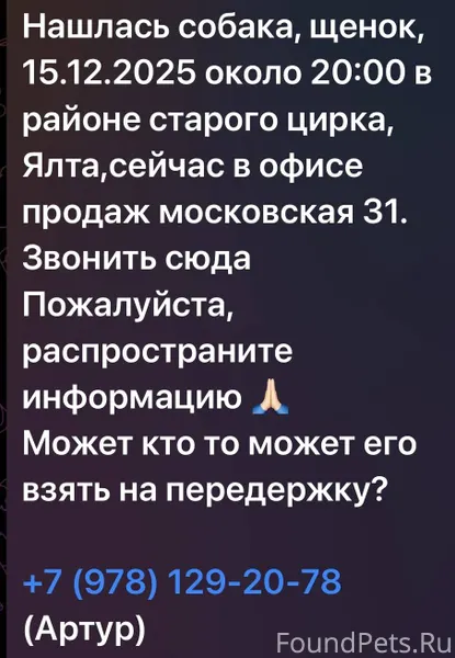 Найден щенок, помогите распрос...