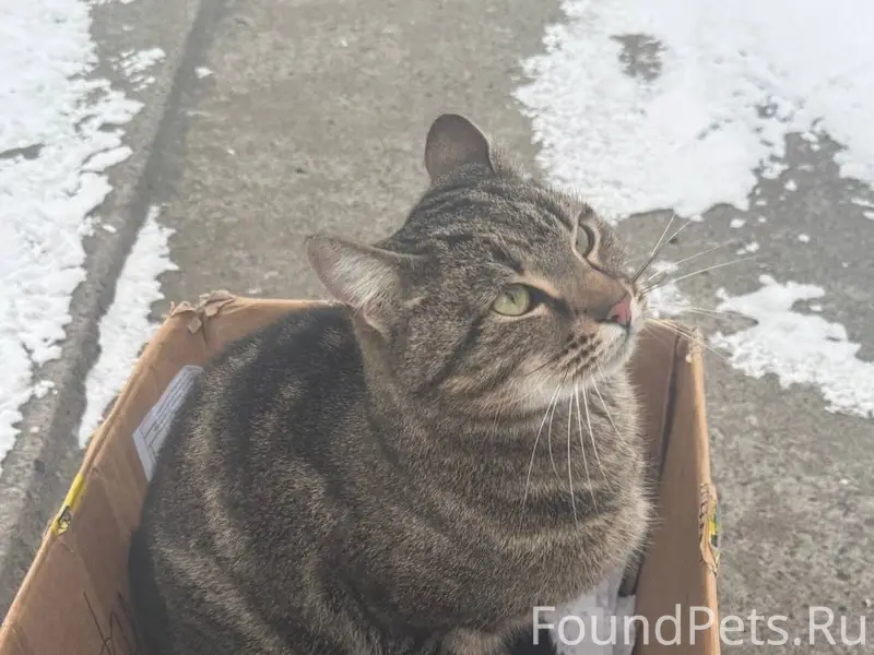 НОВОДВИНСК!! Друзья, прошу ВАШ...