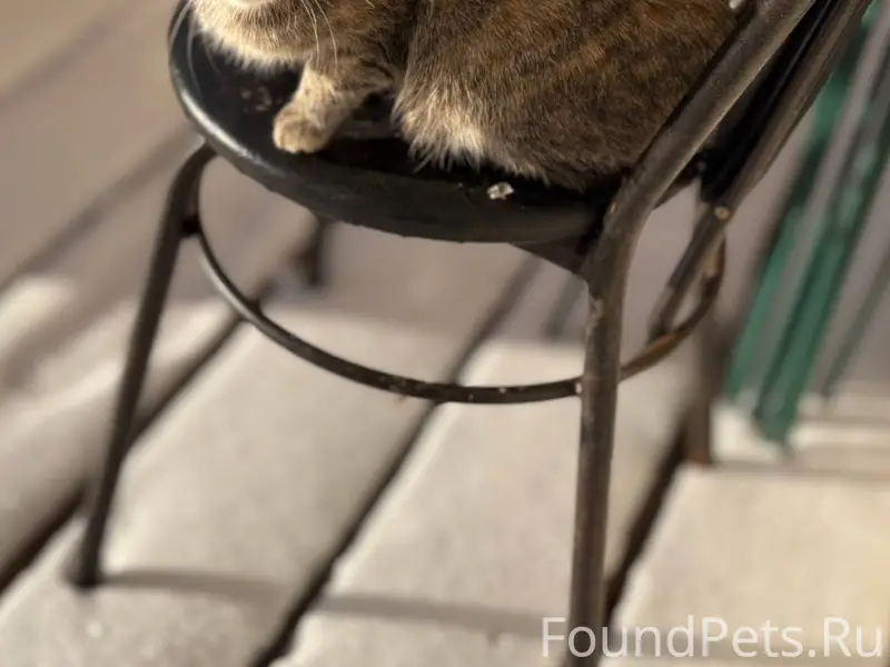 Лукоянов, ул. Короленко. Чья п...