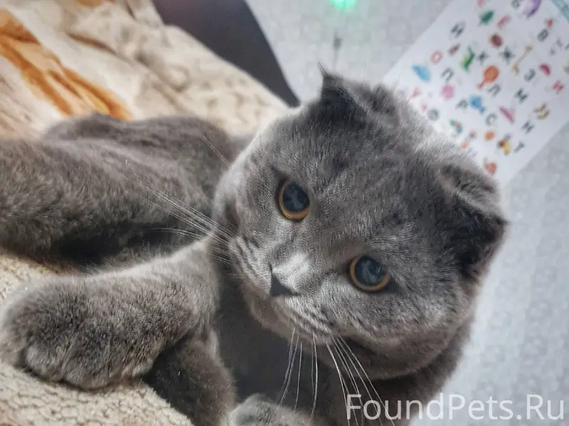 Пожалуйста выложите. Не аноним...