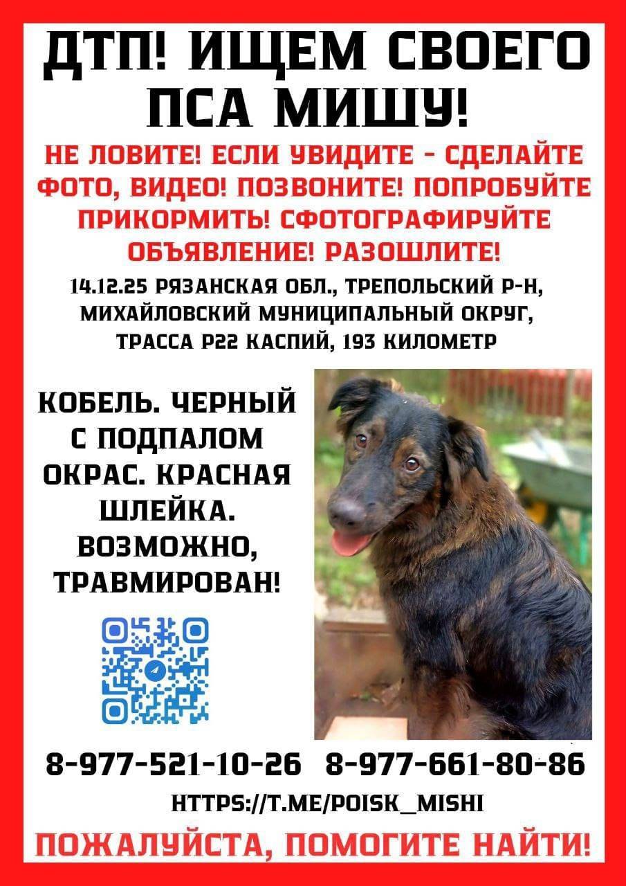 Здравствуйте, в вашем округе н...