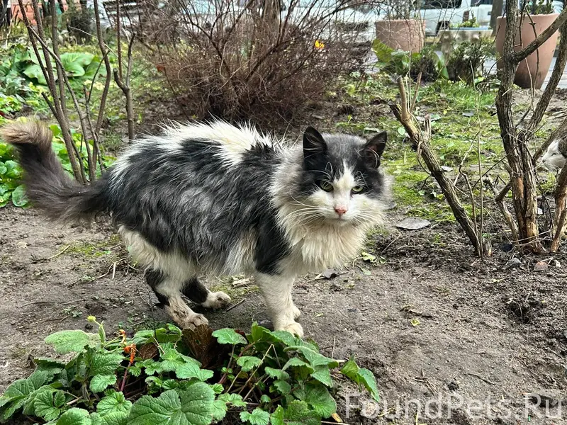 Доброго времени всем,прошу вас...