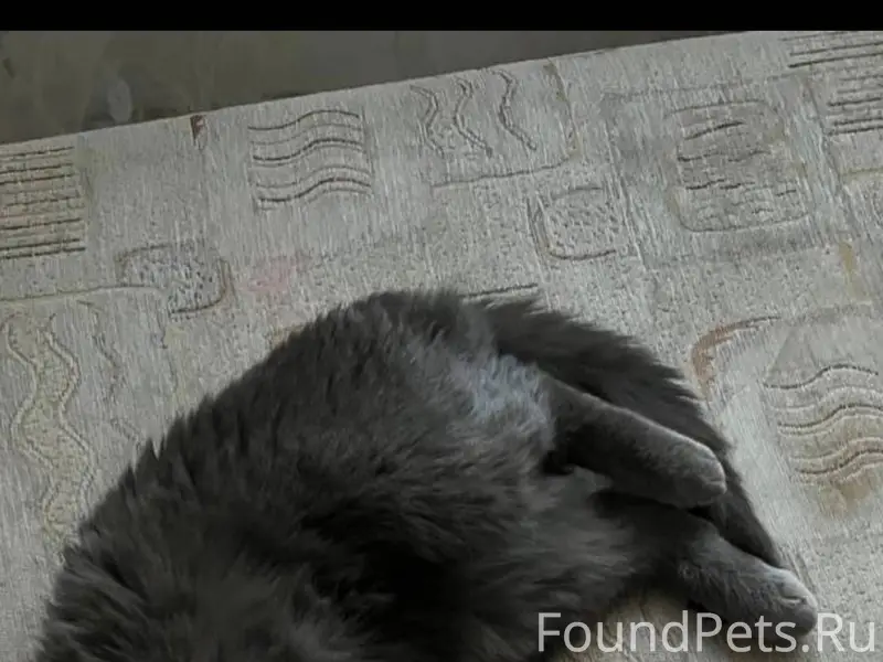 #Бгдпомоги #Богданович Пропала...