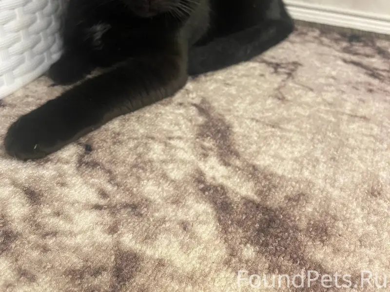 В воскресенье около 22:00 на.....