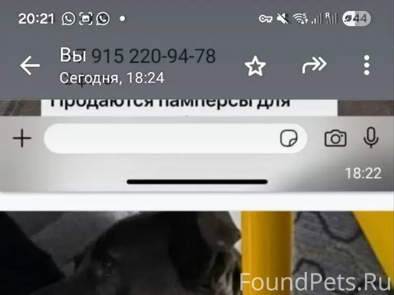 Добрый вечер! Собака Бим уезал...