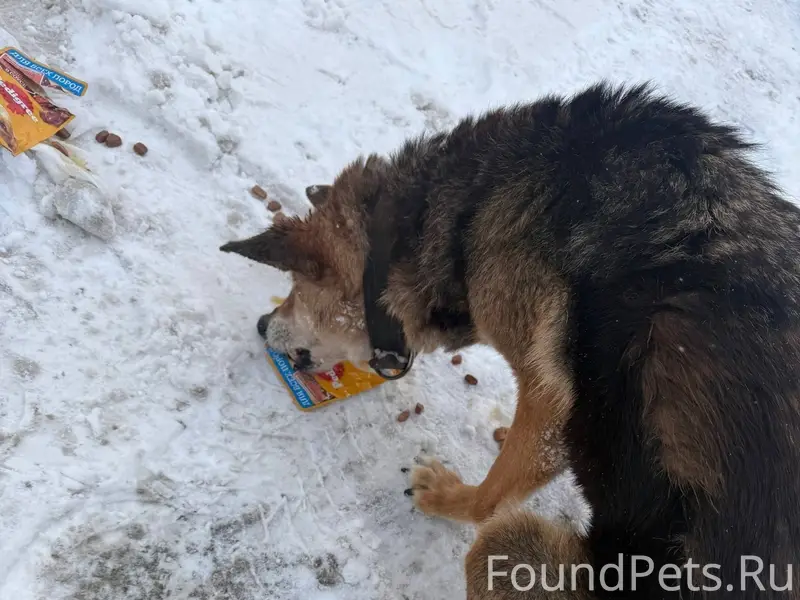 Друзья, очень нужна ваша помощ...