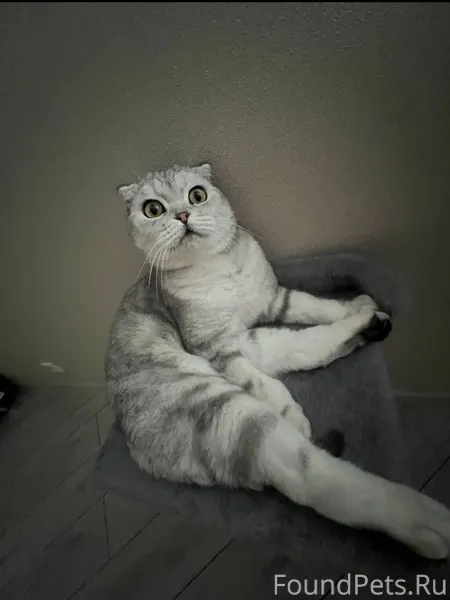 Уважаемые жители Болотникова, ...