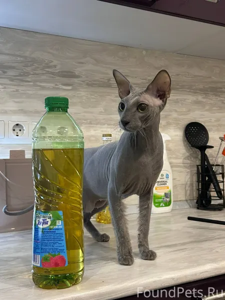 Владимирская 2, 1 подъезд, кто...