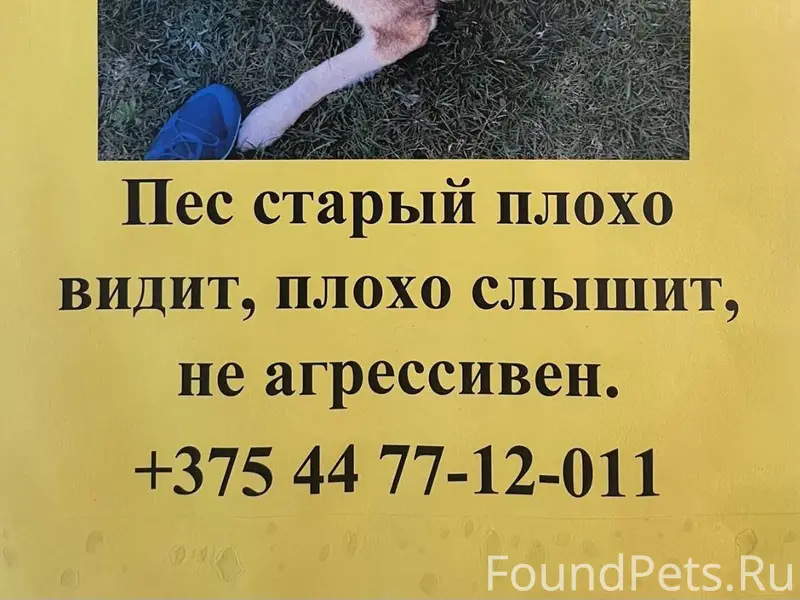 Добрый день, можете, пожалуйст...