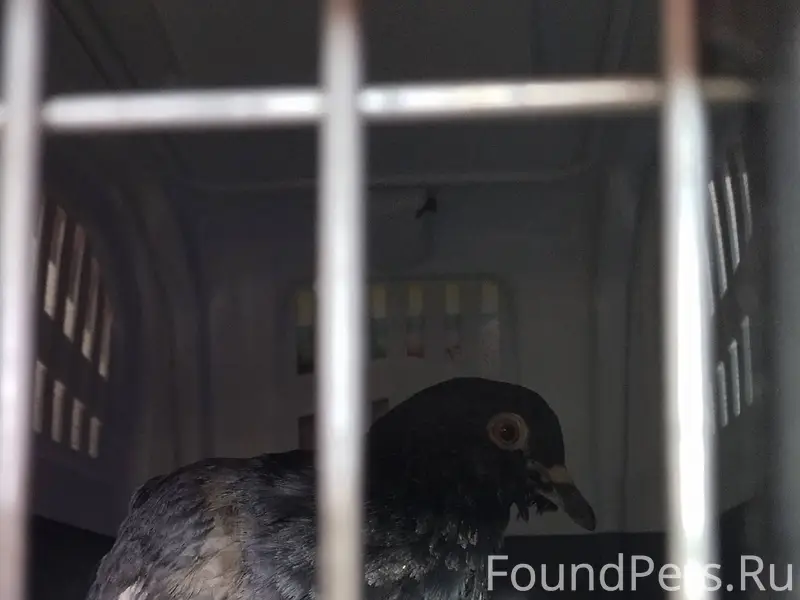 Вчера у Бристоля, магазин Спор...