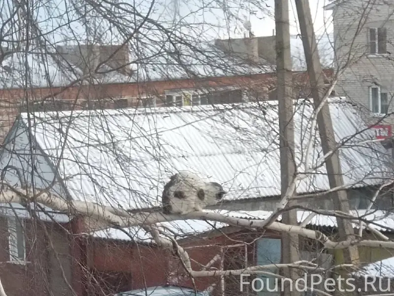 На улице Жукова 2 с субботы...