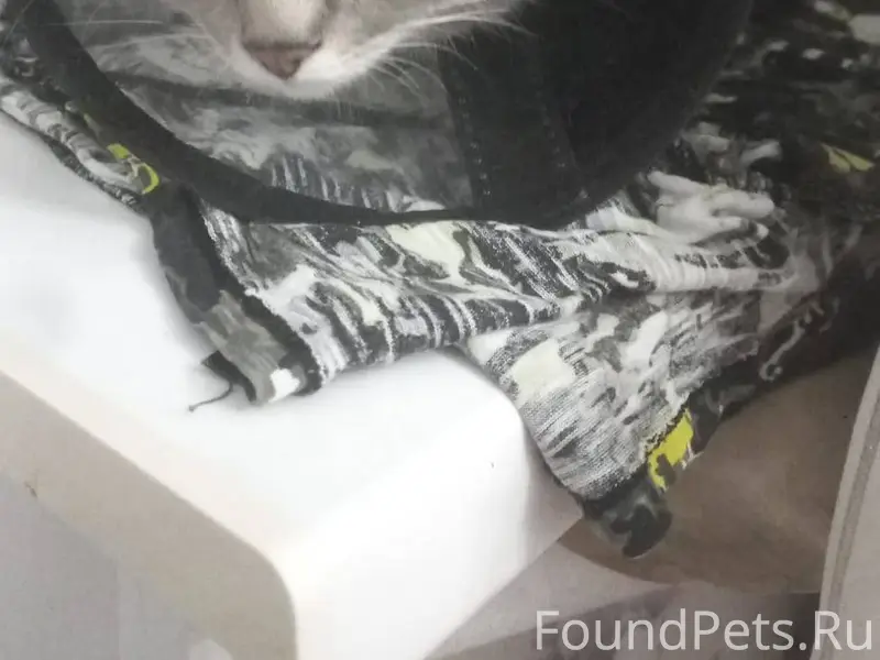 16.12.25 в райне ул...