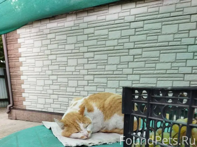 Прошу помощи!!! Макеевка, Горн...