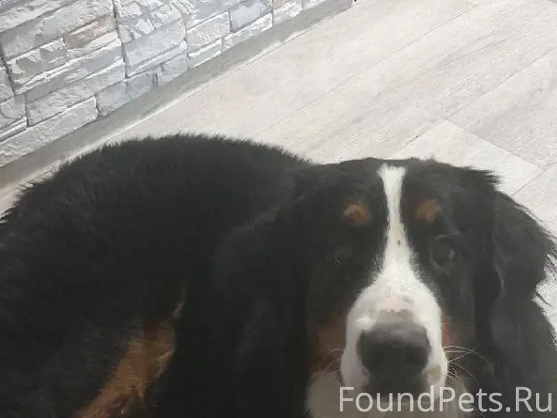 ❗❗❗СРОЧНО Прошу максимальный р...