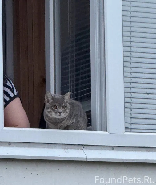 14 декабря в районе первых дом...