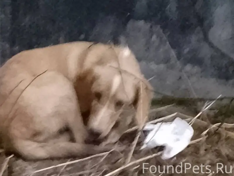 Помогаю информационно .Найдена...