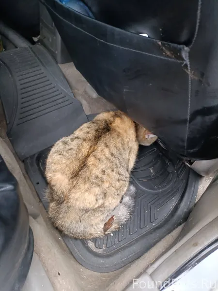 Срочный 🆘🆘😭😭😭 Сегодня на 40 ле...