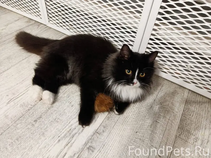 Волгоград Красноармейский райо...