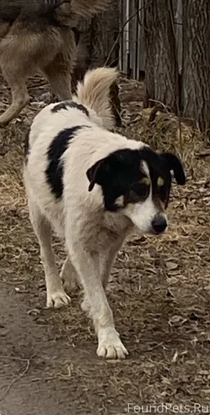 На УРМЗ 9-10 декабря пропала.....