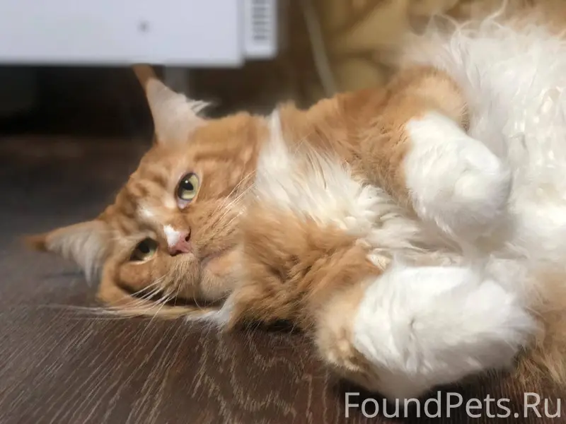 17.12 в районе дома по...