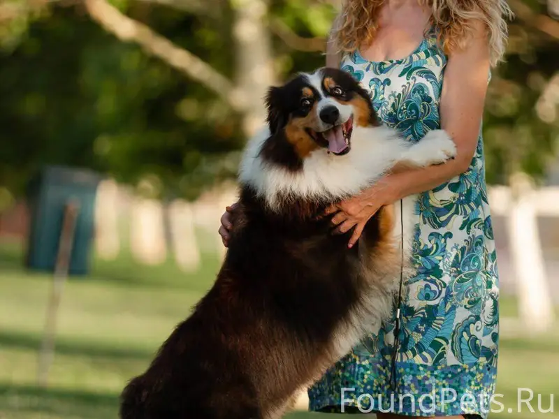 Всем здравствуйте !!! Максимал...