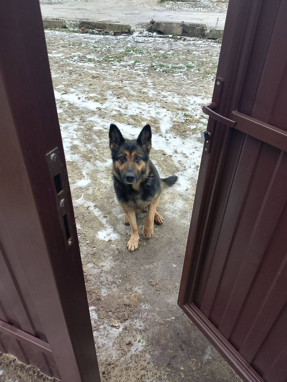 Здравствуйте 🌞 В Шувое несколь...