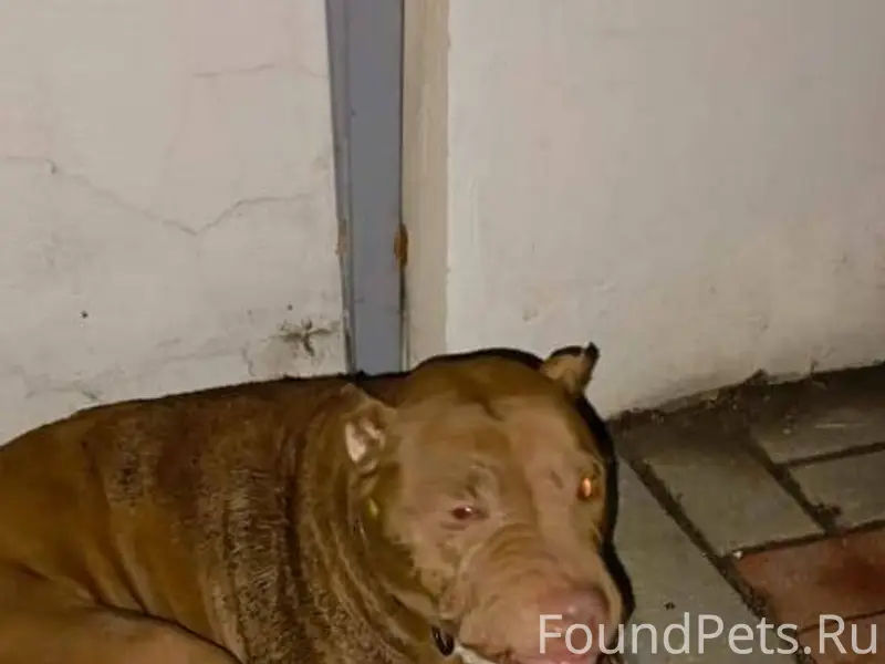 Добрый день. Срочно ‼️ 🚨 прошу...