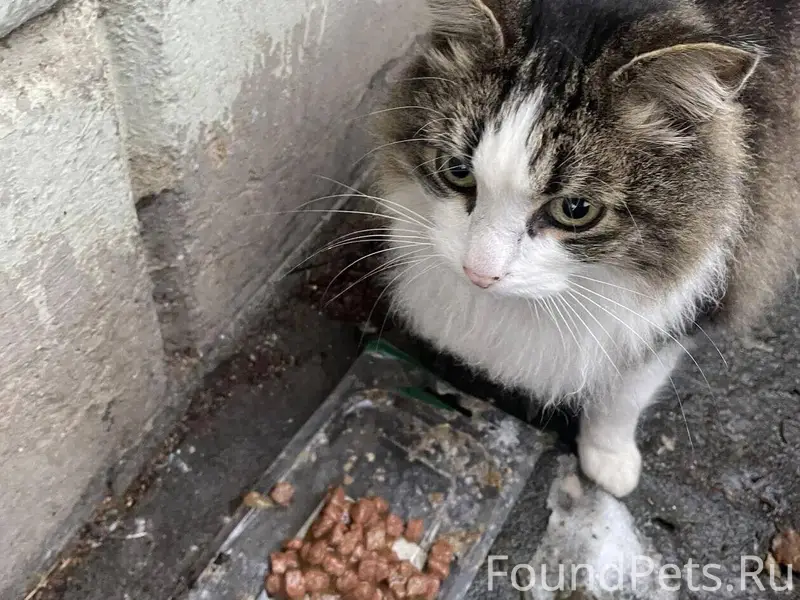 Помогаю информационно!!! Шуя! ...