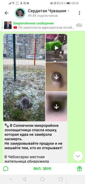 🔥Вот и Сердитая Чувашия опубли...