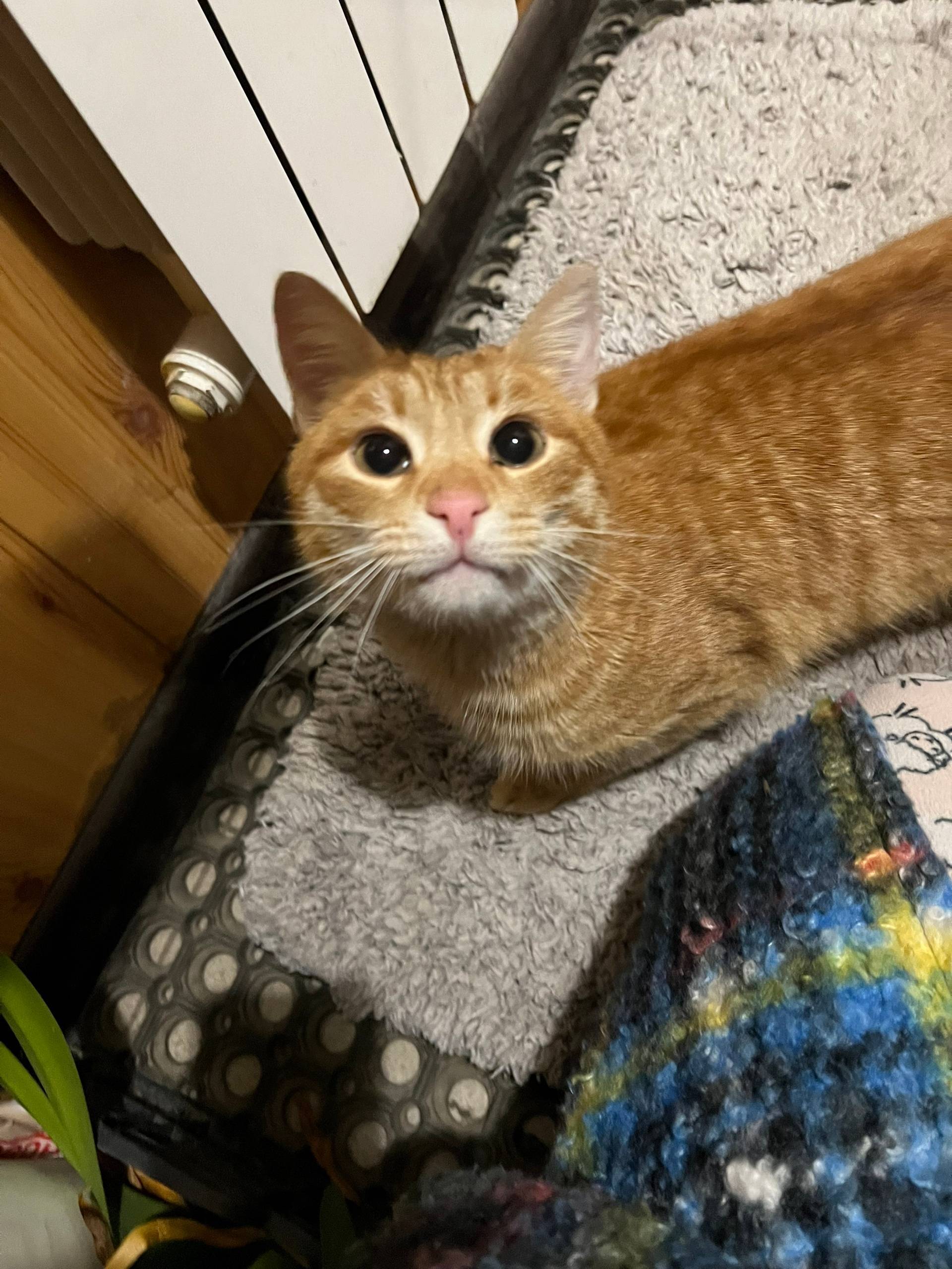 Егорьевск! В районе Заболотья ...