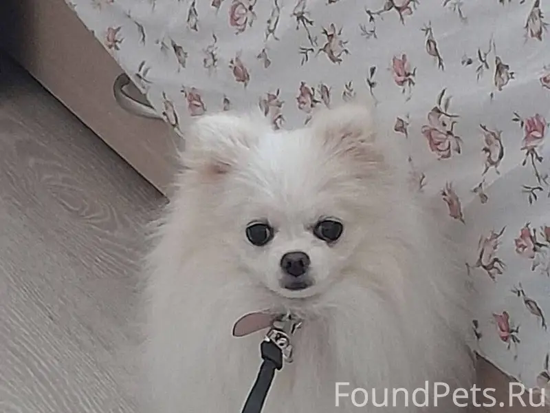 На цыганском поселке, улица Бе...