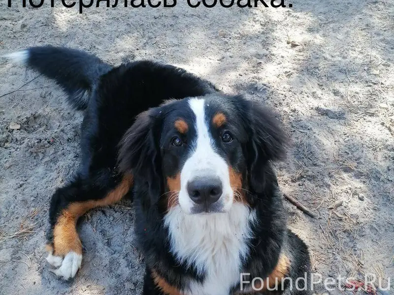 ❗️❗️❗️Репост пожалуйста❗️❗️❗️ ...