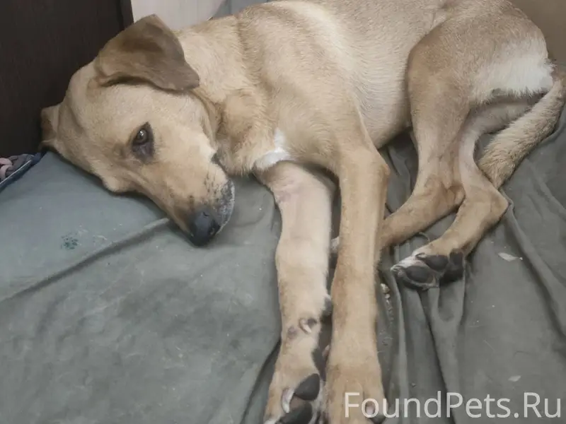 Здравствуйте! В конце сентября...