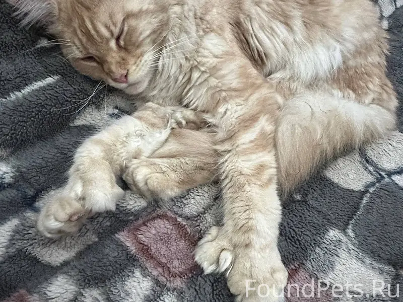 Доброе утро, всем! В частный д...