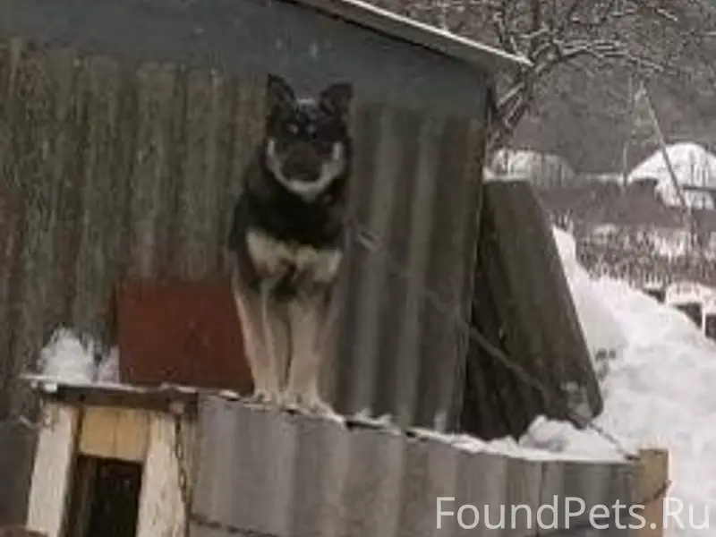 ‼️Помогаю информационно ‼️ Про...