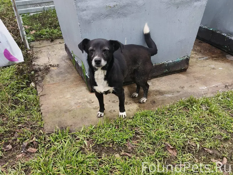 Здравствуйте! У кого потерялся...