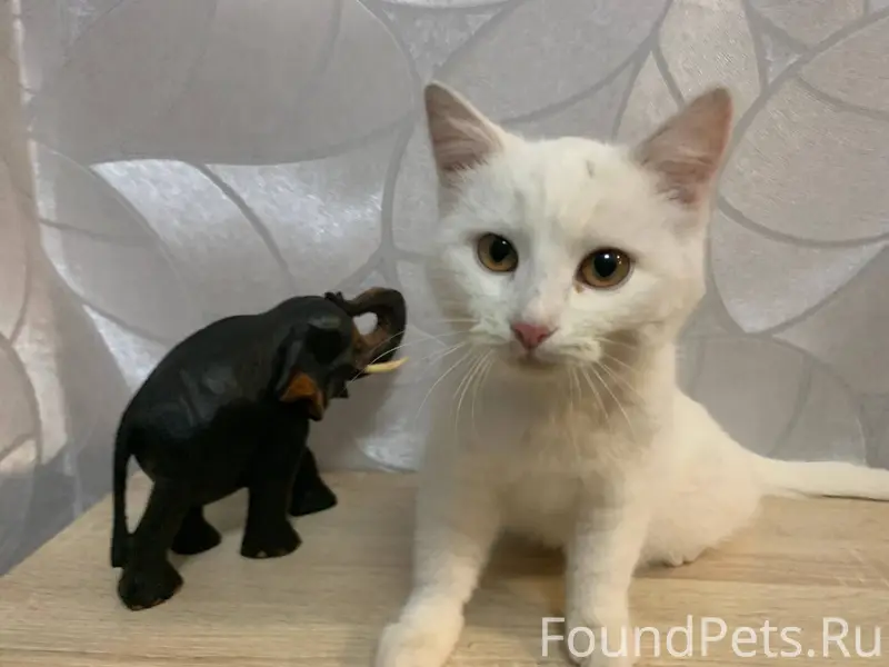 В районе банка ВТБ найдена бел...