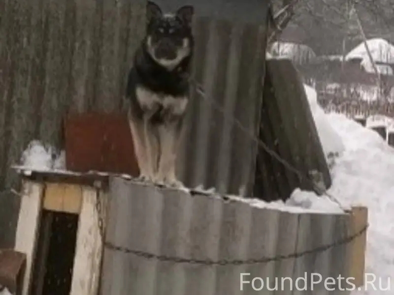 ‼СРОЧНО ️ПОМОГИТЕ ПОЖАЛУЙСТА ‼...